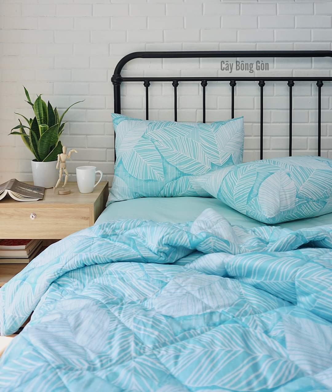 bo-ga-cotton-han-quoc-gia-re-hcm bo-ga-cotton-han-quoc-gia-re-hcm