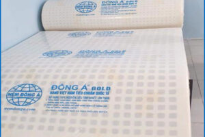 Tại sao nên chọn nệm cao su Foam Đông Á Gold?