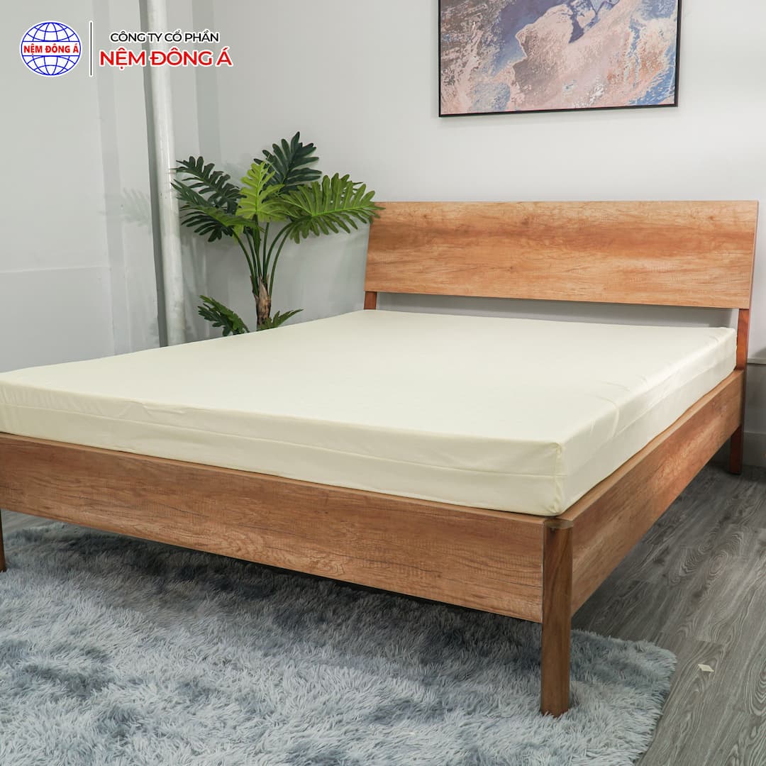 nem-foam-dong-a-hoat-tinh 2