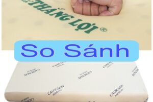 So sánh nệm cao su non Thắng Lợi và American