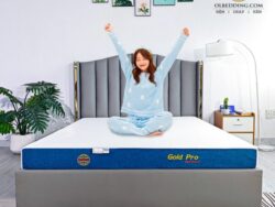 nệm đông á gold pro