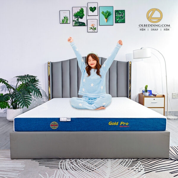 nệm đông á gold pro